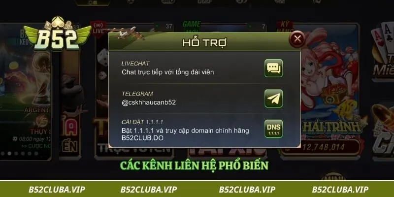 Các kênh liên hệ phổ biến